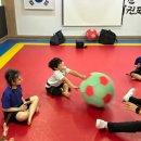 서일초병설유치원 | [일곡동태권도/유아태권도] 활기찬태권도 ‘짐키즈데이’
