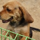 석 농장 이미지