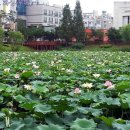 봉담호수공원 이미지