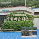 대문집 | 거제 수국 명소 파란 대문 집 실시간 리얼 방문 후기 (2026년 오늘)