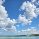 펜션정원 | 제주펜션 후기｜정원·데크·옥상까지 다 좋았던 제주마중