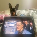 토토 노래연습장 이미지