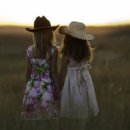 현대체육관 이미지