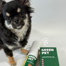 그린펫 이미지