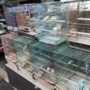 수유전통시장(수유골목시장) 이미지