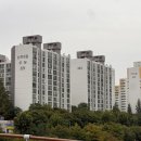 분당-347 이미지