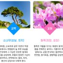 (특성화중/공립) 평동중학교 학교안내, 2025 신입생 입학안내