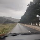 기연농장 이미지