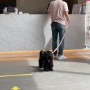 삼천목장 이미지