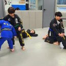 김포코리안주짓수종합격투기공권유술 네이버블로그