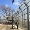 와룡공원(배드민턴장) 네이버블로그