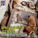 주식회사 이노바이오 이미지