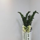 LG빌리지 중앙 이미지