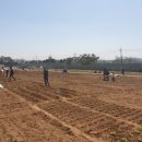 수원-2021 이미지