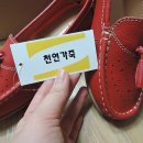 레미녹스