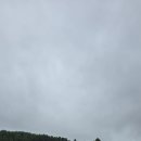 기생나들이 | 제주 영주산, 6월 산수국 보러 갔다가… 정상 뷰에 반해버린 솔직 후기