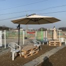 도그노크 이미지