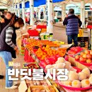 반딧불시장 주차장 이미지