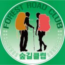 숲길_1_cruiser 1.4 이미지