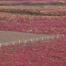 갯지렁이 전시관 이미지