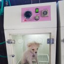개터 이미지