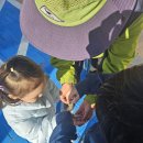 봉오초병설유치원 이미지