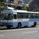 신화여객 이미지