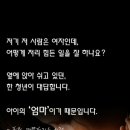 개엄마 네이버블로그