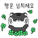 스피드광고 - 창원시 진해구 | 스피드광고