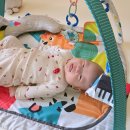 정도체육관 | 아기체육관 비교 대여후기 100일 신생아 사용시기 추천