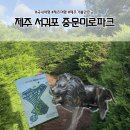 미로파크 | 제주 가볼만한곳 중문미로파크 탈출 못한 후기