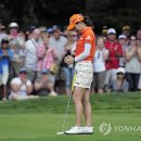 Green Colo 이미지