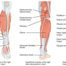 삼삼한의원 이미지