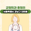 서울특별시 강남구 대치동 교정치과 총정리