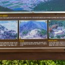 장수장의사 이미지