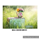 피자성 효인방 이미지