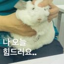 내가찜한닭앤드도시락 | 34. 그럮게. 개강.이. 왔다.