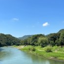 개울달천 | 청주에서 30분! 시원한 숲속 여행, 옥화9경 금관숲에서 힐링하기