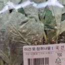 라라라호프소주 | [WEDDING] EP.01-00_웨딩홀 그거 어떻게 정하는건데? 결혼식장 고르는 꿀팁
