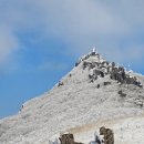 2024-주218 이미지