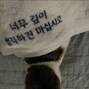 마루오호텔