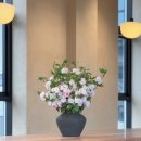 순성미술관 이미지