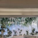 죽바위로 | 하객도 편하면 성공한 결혼식, 브라이튼하우스 강남 스몰웨딩 하객입장후기