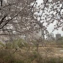 노작공원(오산천변) 네이버블로그