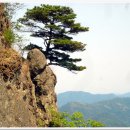 만어산장 산악회 제348차 경북 의성 비봉산 산행안내 4월23일(목요일) 이미지