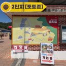 (주)해바라기 | [함안 강주해바라기축제] 다녀온 후기 | 실시간 개화현황, 주차, 관람팁, 포토존, 맛집 추천