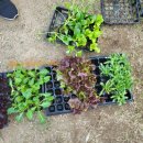 동신농장 이미지