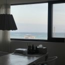 세화 엘라 이미지