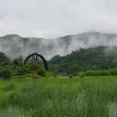 김천사 이미지
