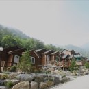 정선 도원펜션&캠핑장 이미지